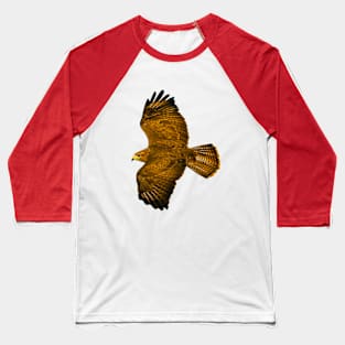 Buzzard in flight Baseball T-Shirt